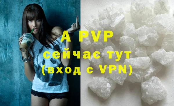 крисы Домодедово