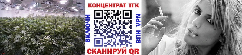 OMG tor  Поронайск  ТГК гашишное масло 